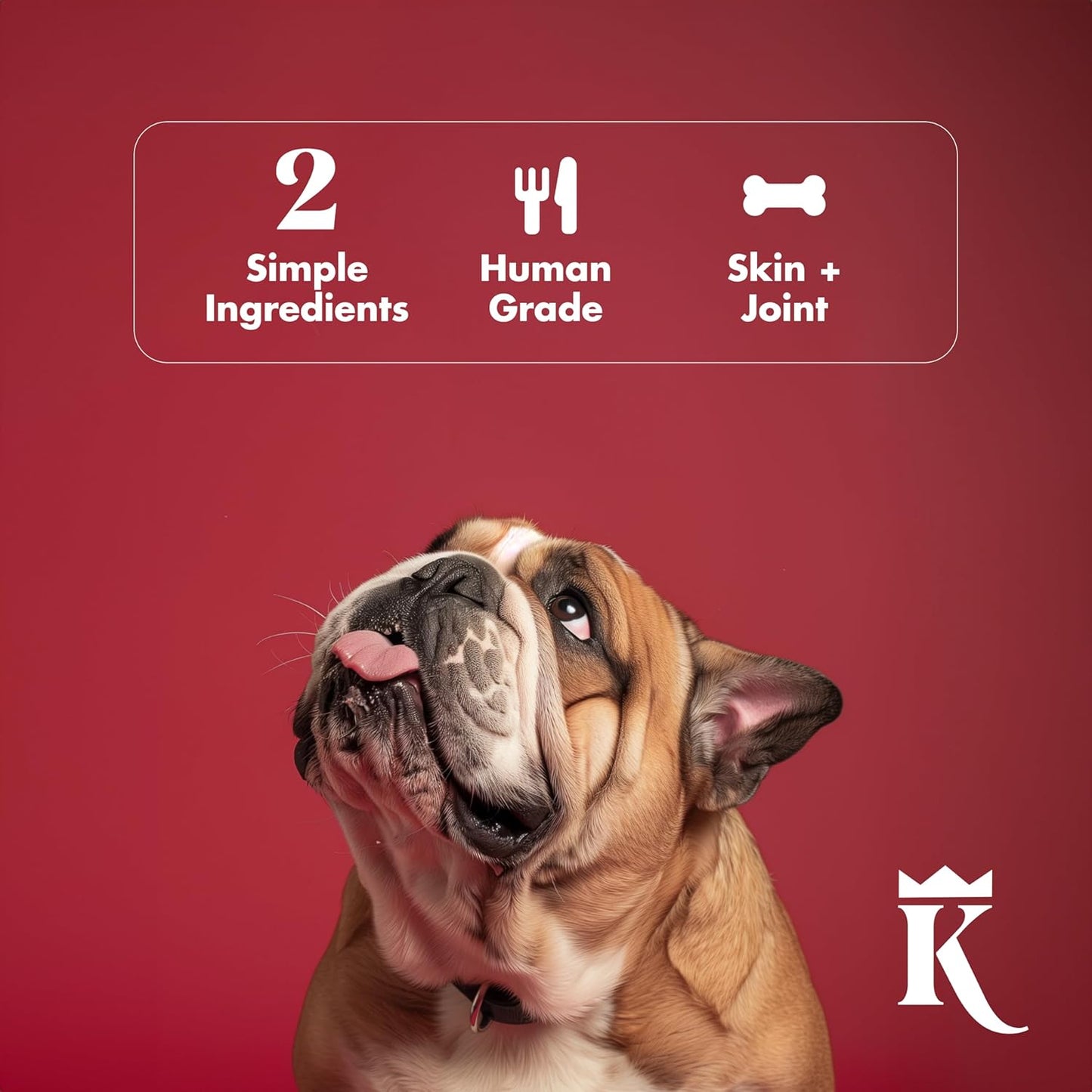 King Lou Pets + BK Pets - Bone Broth Booster Holistic Defense - Beef Bone Broth Topper - Beef Bone Broth and Turkey Tail Mushroom - Bone Broth for Holistic Immune Defense - Dogs and Cats Bone Broth