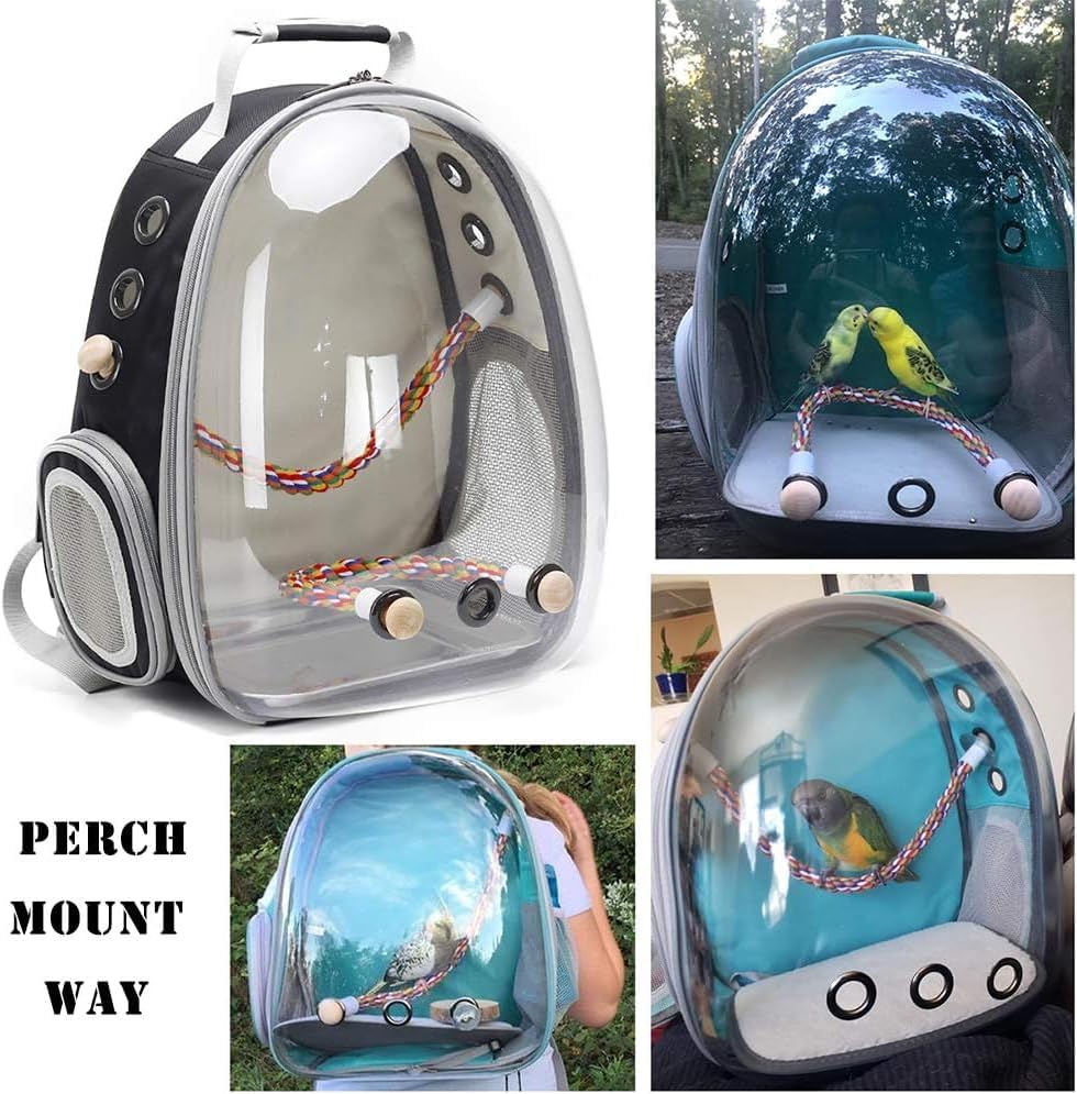Bird Travel Backpack Carrier, Clear Bubble Window Transport Backpack for Birds, Space Capsule Astronaut Liked Vet Carry School Bag for Parakeet Parrot (M-GRN, Clear Bubble)