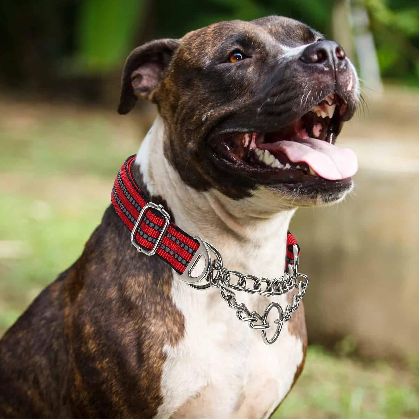 Martingale Dog Collar for Training,Adjustable No Pull Reflective Collar with Chain for XXL Dogs Secure/Comfortable Walking Collar for Night Safety（Red XXL）