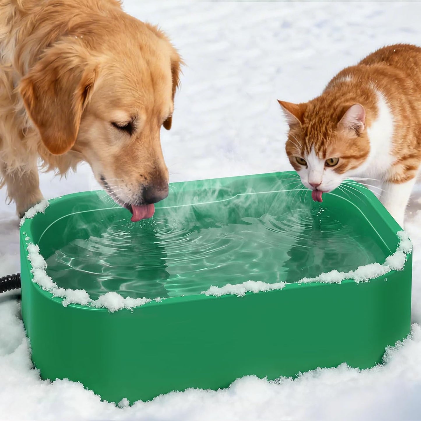 IPOW Extra Large Heated Water Bowl with 5 Layers Design for Heating & Heat Preservation Provides Drinkable Water & Food in Winter Heated Pet Bowl for Cat Rabbit Chicken Duck Squirrel, 194 fl oz