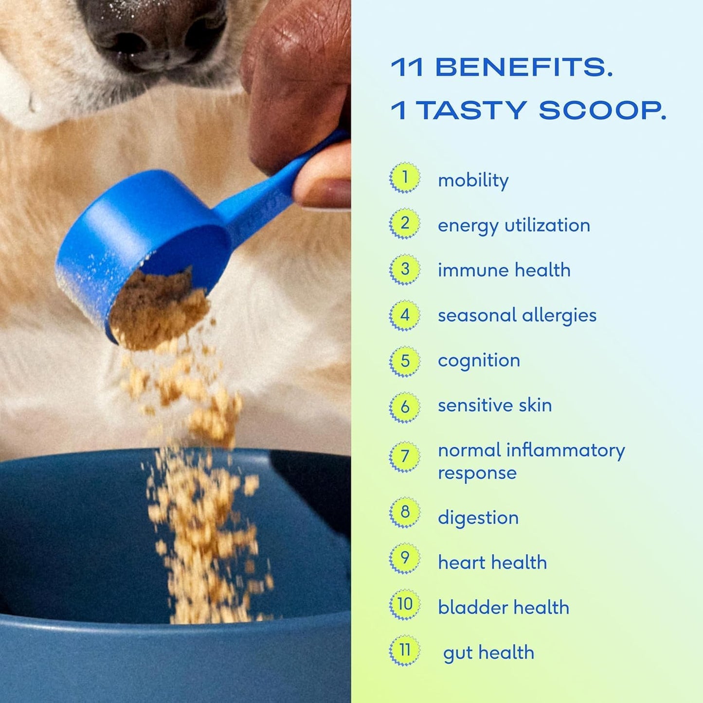 Native Pet Pumpkin for Dogs (60 Scoops) and The Daily Dog Supplement (60 Scoops) - All-Natural, Organic Pumpkin Fiber and 11 in 1 Dog Multivitamin & Supplements