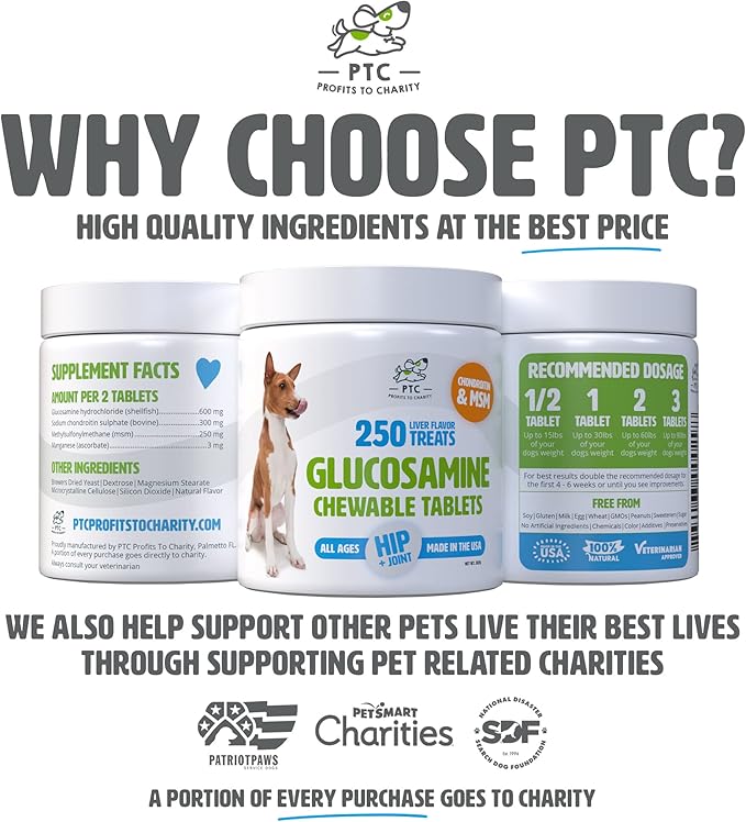 Glucosamine for Dogs with Chondroitin and MSM -Hip and Joint Supplement for Dog Mobility Support and Arthritis Pain Relief - 250 Chewable Tablet Treats