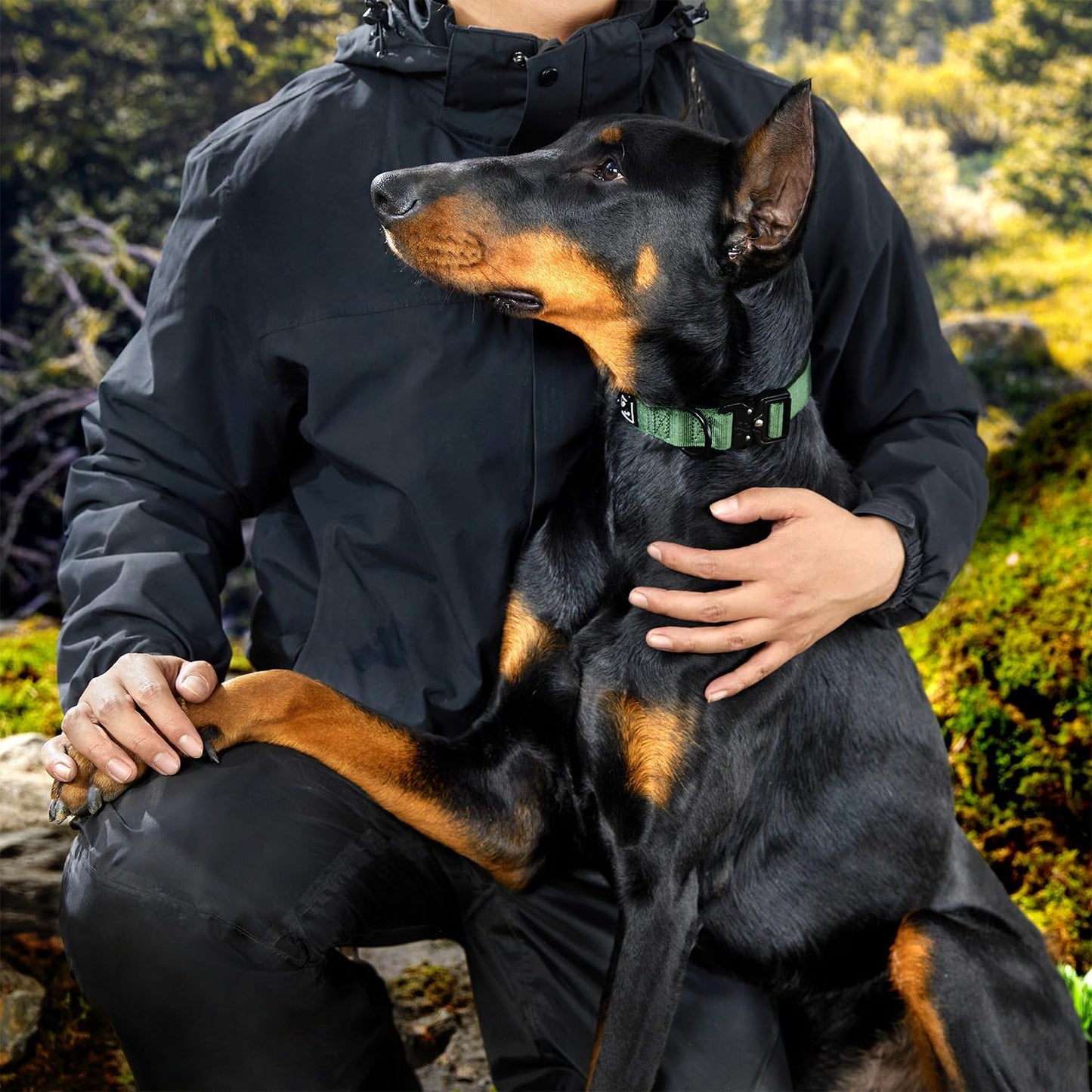 CLEPAWS Reflective Dog Collars for Medium Dogs, Heavy Duty Tactical Dog Collar with Metal Buckle, Durable Pet Collar Quick Release, Reinforced Nylon No Pull Dog Collar (Evergreen, M)