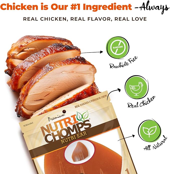 Nutri Chomps Dog Chews, Ear Shaped, Real Chicken Flavor, 1 Count, Easy to Digest, Rawhide Free Dog Treats, Long Lasting, Vitamin and Mineral Enriched