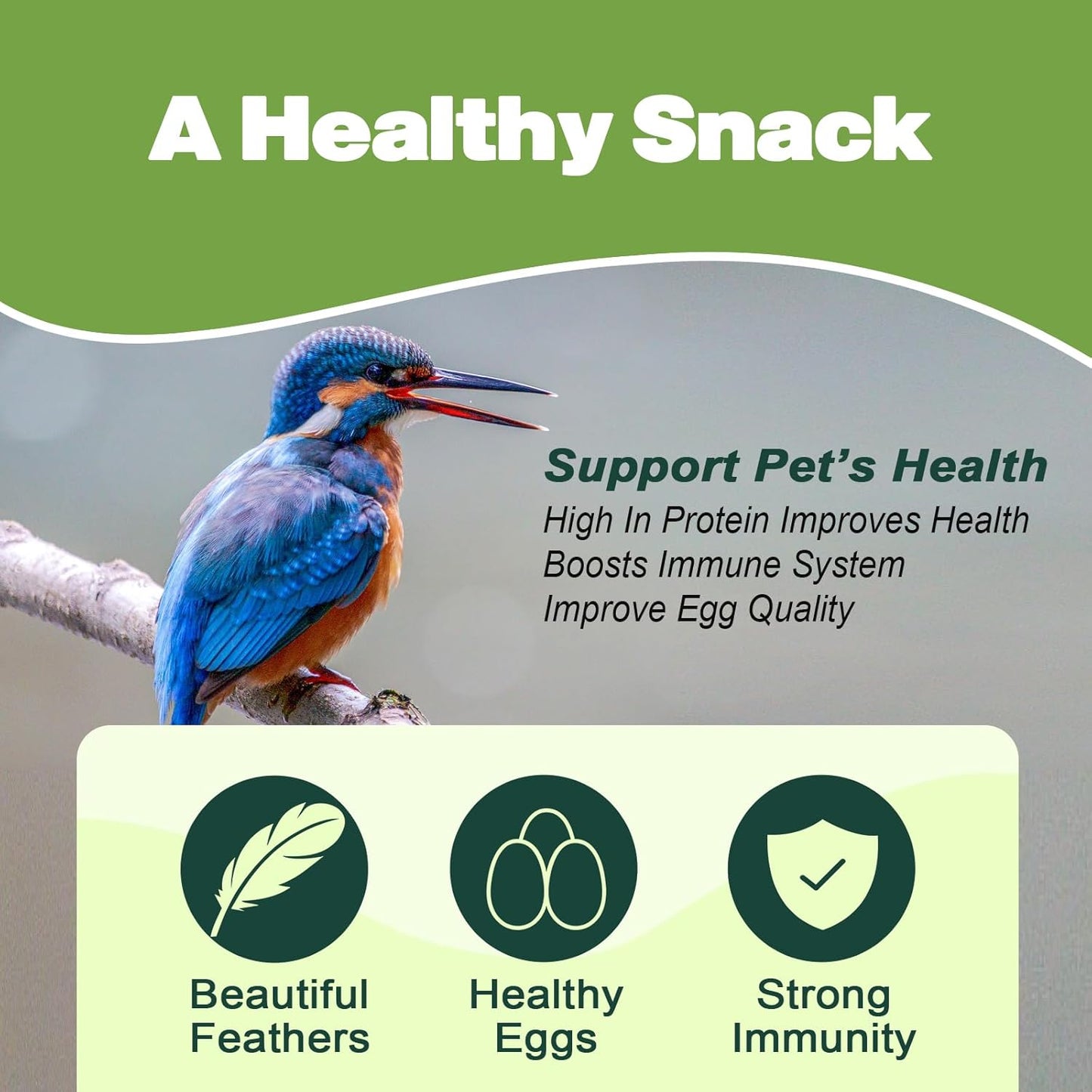 Dried Mealworms - 5 LBS - 100% Natural Non-GMO High Protein - Bulk Mealworms for Wild Birds, Chickens, Pet Treats & Reptile Food