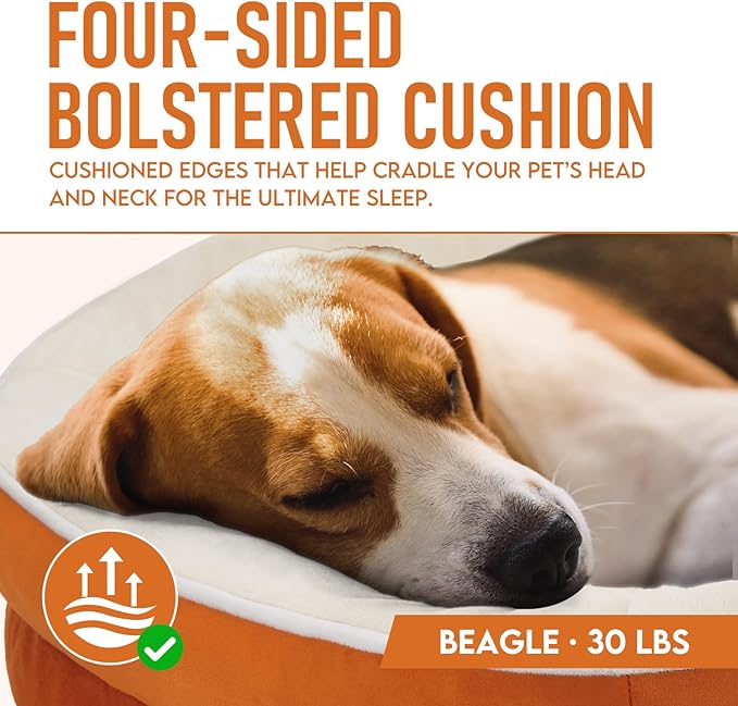 OhGeni Orthopedic Dog Couch Pet Sofa Large Sized Cat Beds with Comfort Foam Support, Soft Comfortable Fabric, Machine Washable Waterproof Removable Cover, 35-Inch (Orange)