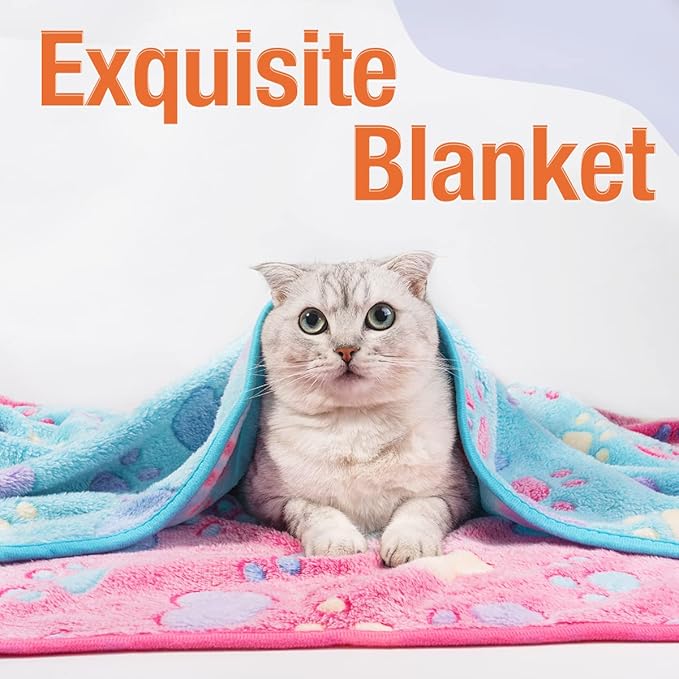 Pet Soft 1 Pack 3 Pet Blankets for Dogs - Fluffy Cats Dogs Blanket for Small Medium & Large Dog, Cute Print Pet Throw Puppy Blankets Fleece (Heart, 3S)