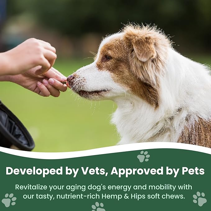 Vet Naturals Hemp & HIPS - Dog Joint Supplement Large Breed - Senior Dog Supplements - Glucosamine and Chondroitin Supplement - MSM & USA Grown Hemp Oil (60ct-Beef and Bacon)