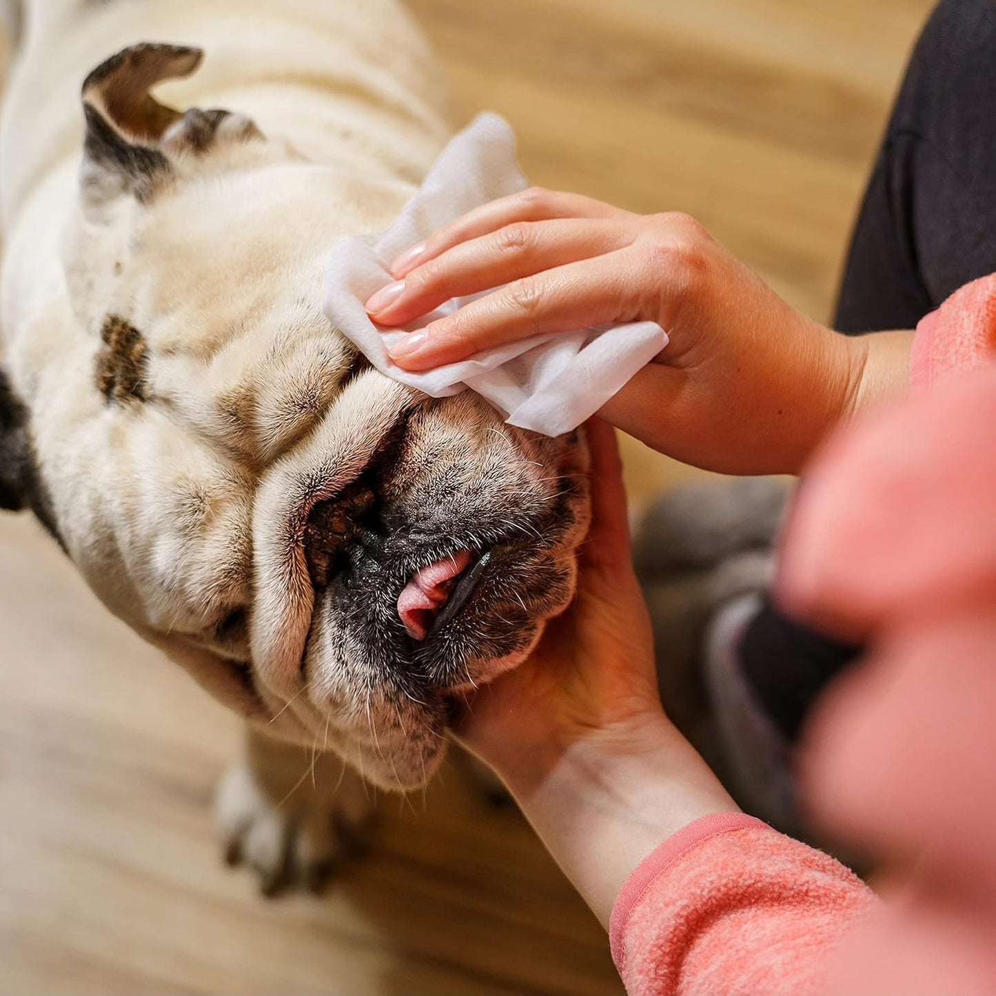 Inspire Naturals Pet Wipes for Dogs and Cats 100% Natural Plant Based with Organic Antioxidants, Dog Wipe Cleaning Deodorizing | Puppy Wipes | Dog Wipes for Paws and Butt (400ct - 8 Pack)