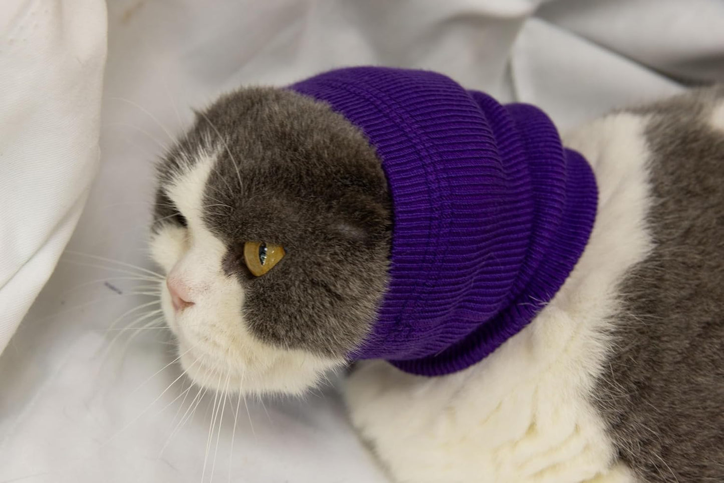 Cat Hematoma Ear Wrap, Cat Ear Wrap Cats Anxiety Relief – Noise Canceling for Fireworks, Thunderstorms Purple S