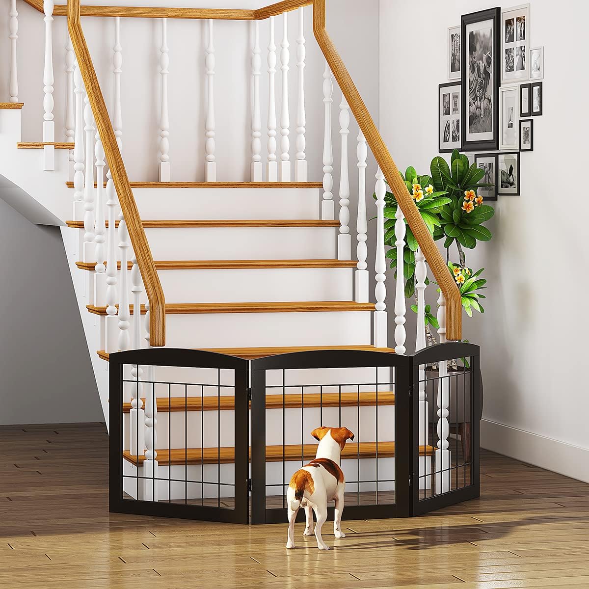 PAWLAND Free Standing Dog Gates for The House Stairs Doorways Indoor Foldable Wooden Small White Puppy Pet Gate Step Over Fence 60" W 24" H 3 Panels Espresso