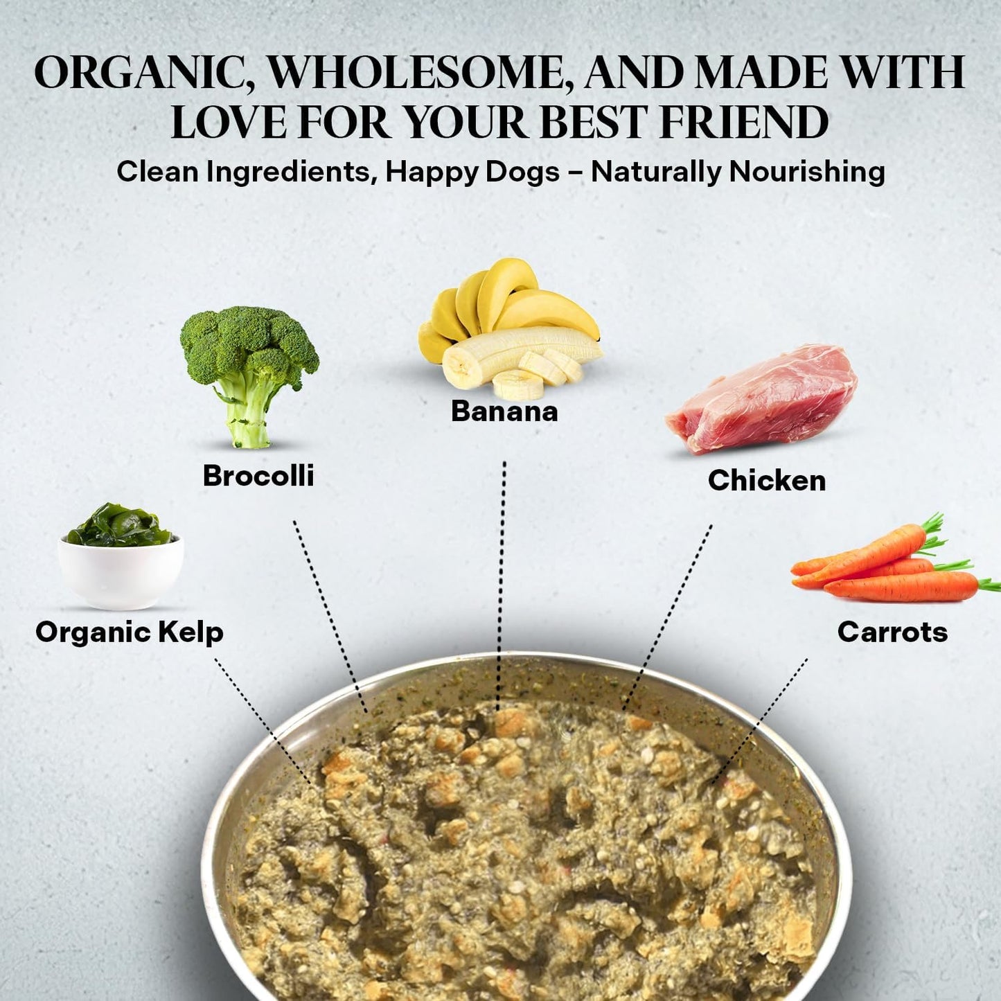 Healthy Dogma - PetMix Dehydrated Dog Food for Allergies - Grain Free, Freeze Dried, Raw, Homemade Dog Food (Chicken Dinner, 2 lbs)