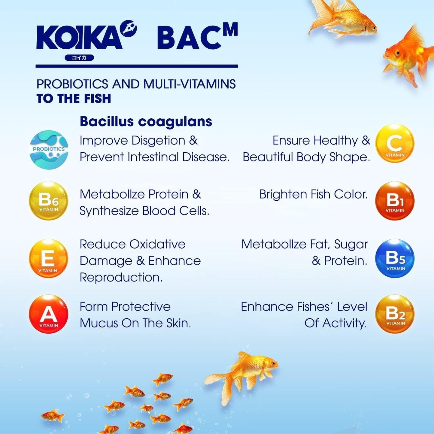 KOIKA BACM Natural Color Enhancement for Fish, Combination of Probiotic & Multi-Vitamins for Aquarium A, B6, B2, Pleasant Smell (BACM (New Formula), 30ml)