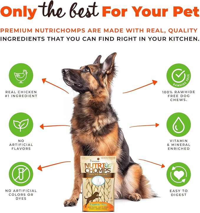 NutriChomps Dog Chews- 6-inch Braids,Easy to Digest, Rawhide-Free Dog Treats, Healthy, 4 Count, Real Chicken, Peanut Butter and Milk Flavors, Bundle of 3