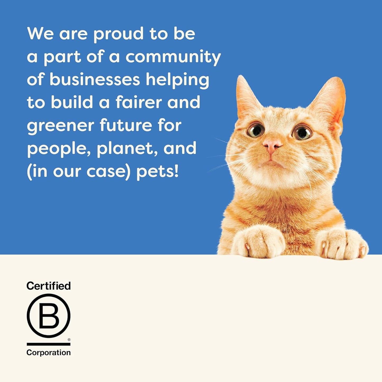 Applaws Natural Wet Cat Food in Topper, Limited and Natural Ingredients, High Protein with No Artificial Additives, Fish Bone Broth with Salmon (12 x 3oz Resealable Spout Pouches)