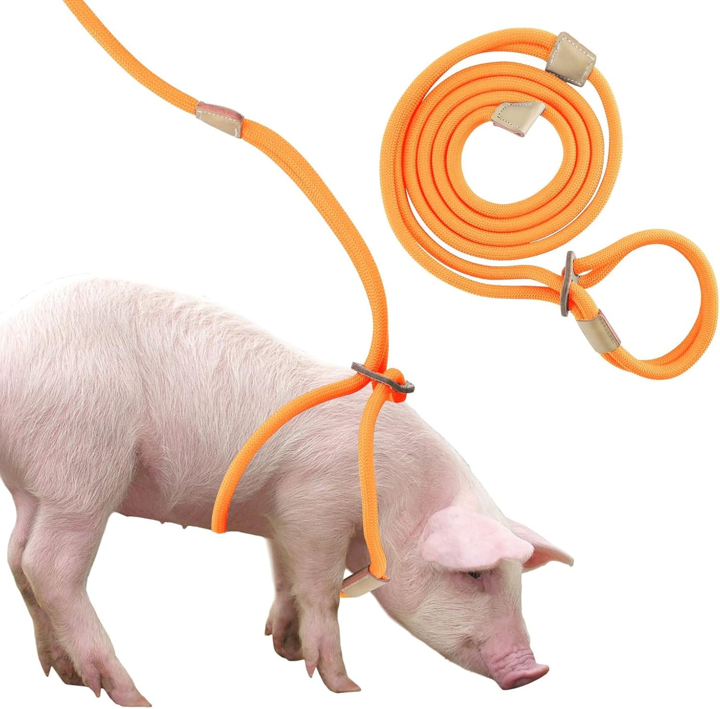 Mini Pig Harness & Leash, Adjustable 8 Feet Long Rope for Small to Medium Pet Pigs