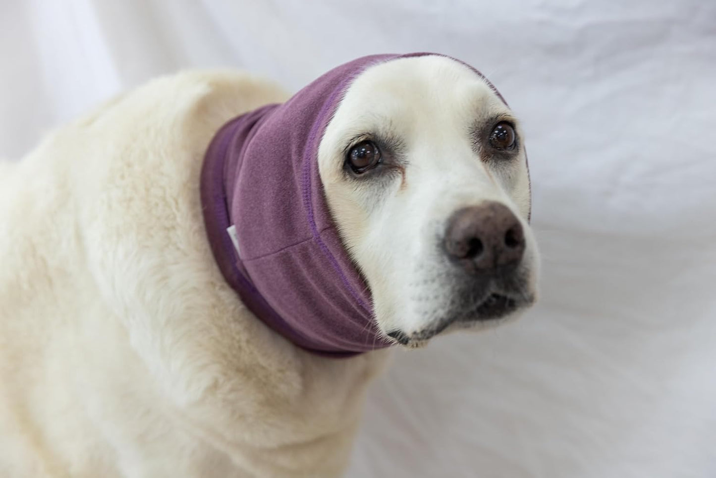 Dog Blow Dryer Ear Dover, Dedication Ear Wrap Anxiety Relief – Noise Canceling for Fireworks, Thunderstorms, Pet Grooming & Force Drying(Pail Lilac M)