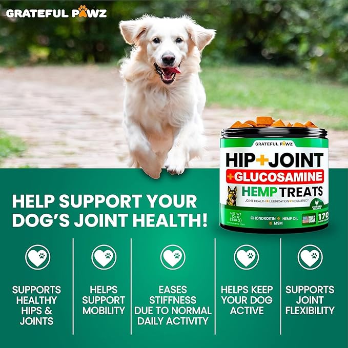 (2 Pack) Hemp Hip and Joint Supplement for Dogs - Glucosamine for Dogs - 340 Joint Pain Relief Treats - Chondroitin, MSM, Hemp Oil - Advanced Health Supplement - Mobility Support Chews - Made in USA