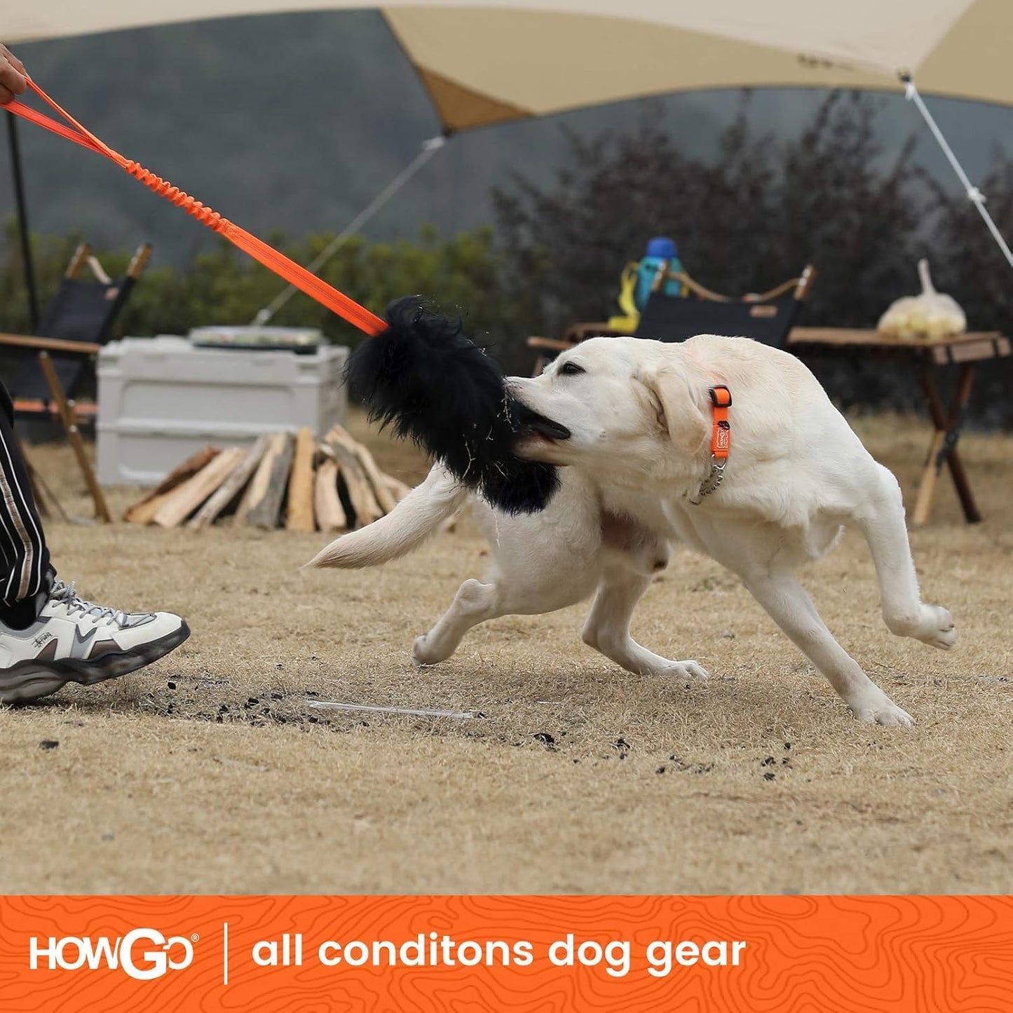 HOWGO Dog Rope,Dog Bungee Chaser 100% Sheepskin,Sheep Smell Tug for All Breeds(Green, Long Without Ball 2Pack)