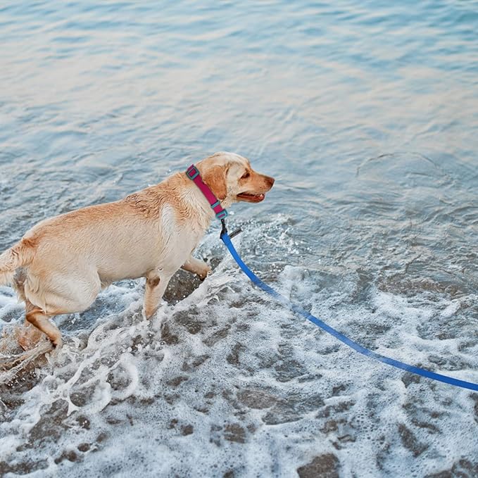 Wolfone 15m Blue Heavy Duty Robust Training Dog Leash with Anti-Slip Handle，Waterproof Long Dog Leash for Outdoor Activities