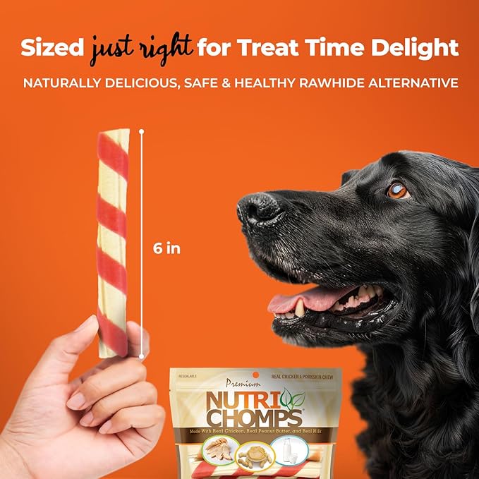 NutriChomps Dog Chews – 6-inch Twists, Easy to Digest, Rawhide-Free Dog Treats, Healthy, 12 Count, Real Chicken, Peanut Butter and Milk flavors