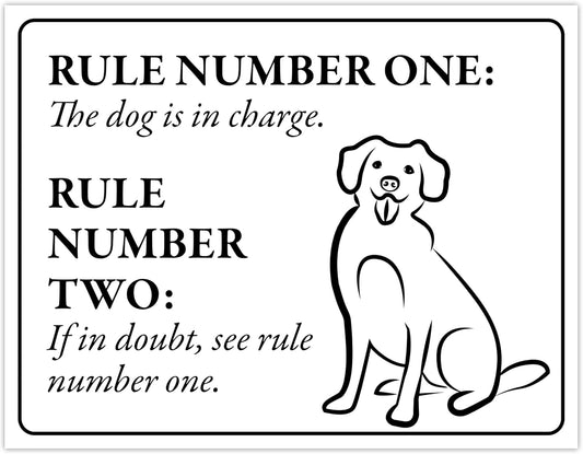 Funny Sign - The Dog is in Charge... 8.5" x 11" Laminated Sign, Dog Decor, Home Decor, Bundled with Mounting Putty and Adhesive Hook & Loop Dots for Easy Mounting - ENVISIONED Signage
