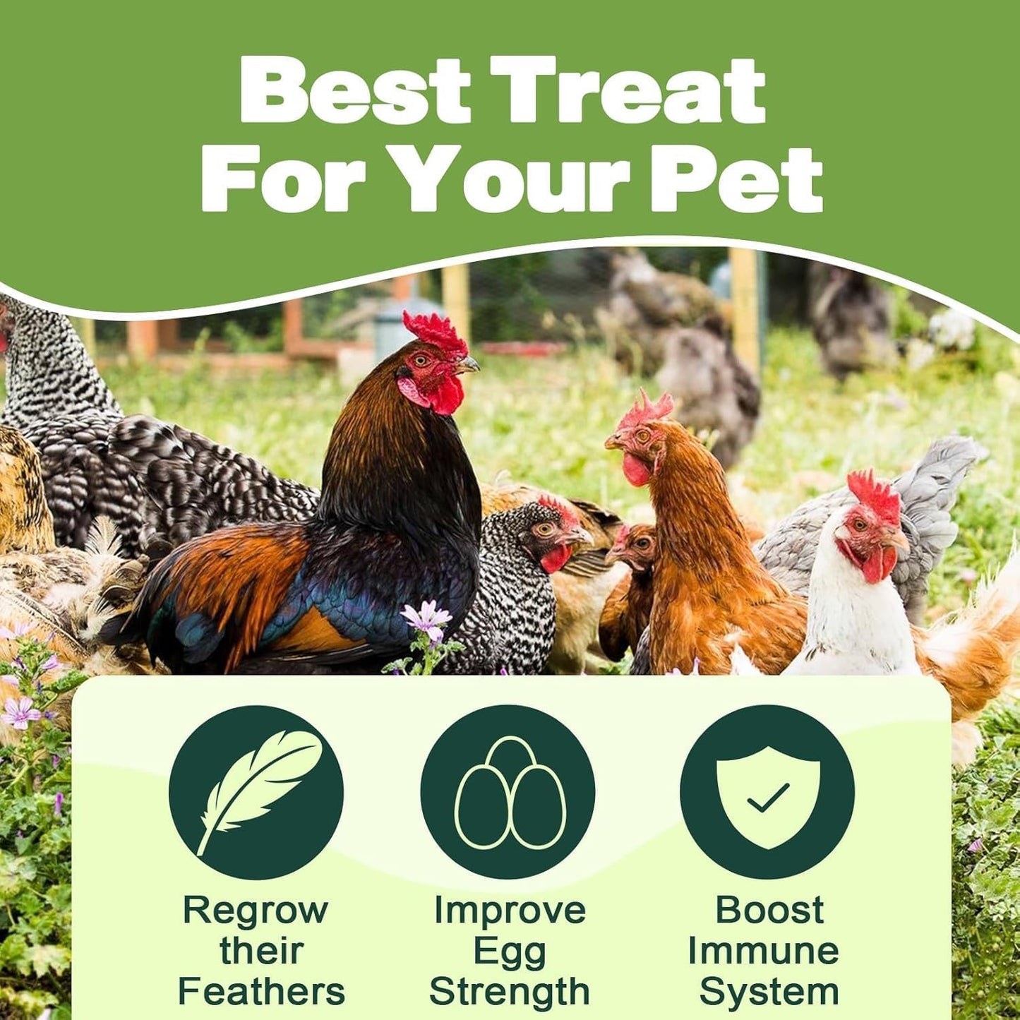 5LB Dried Black Soldier Fly Larvae, 86X Calcium Than Dried Mealworms, High Protein Non-GMO Organic Chicken Feed Reptile & Amphibian Food