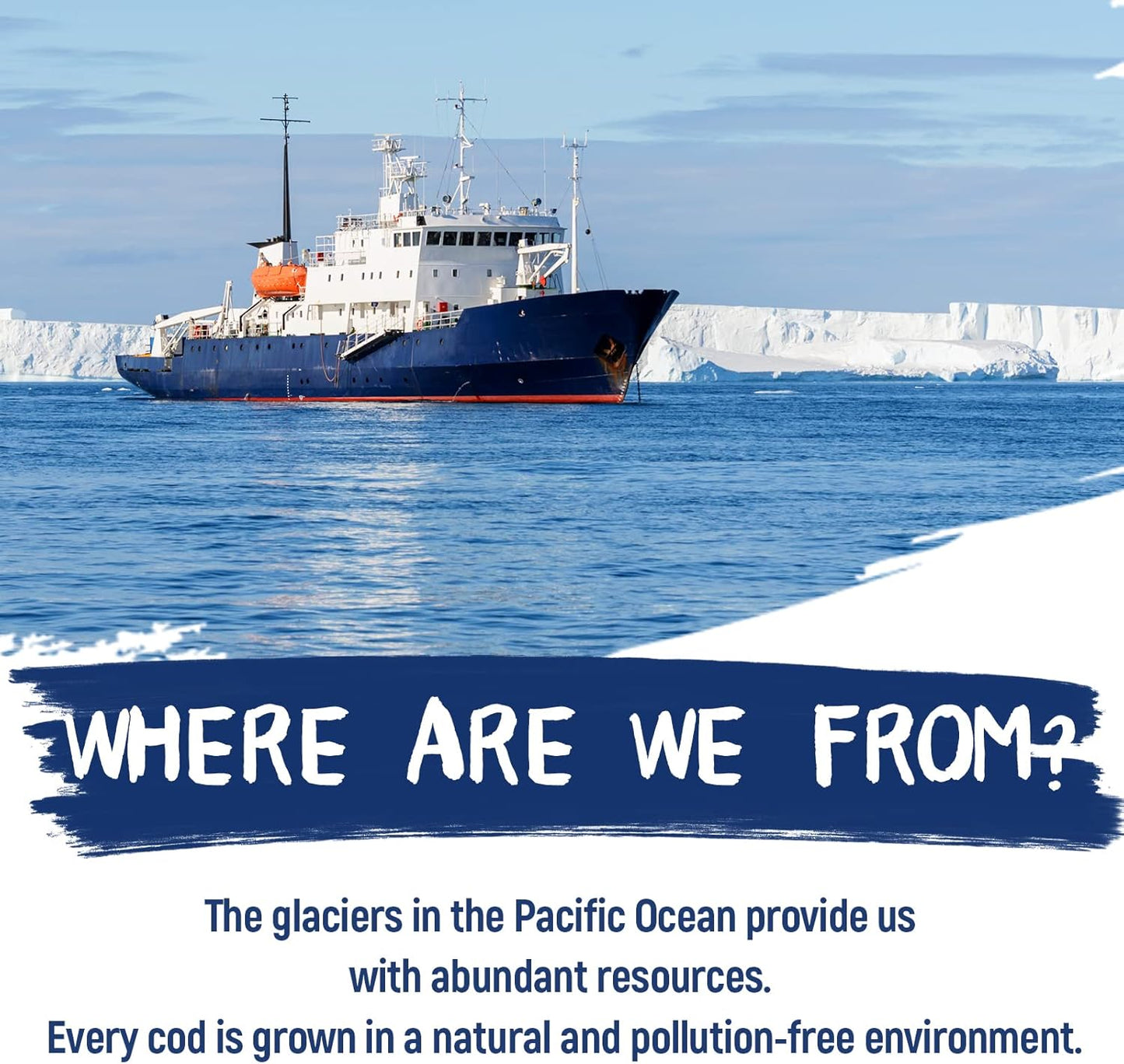 Dog Treat Chicken Wrapped Cod Skins, Fish Chews Rolls for Medium Dogs, Healthy, Rawhide-Free, 12.5 oz