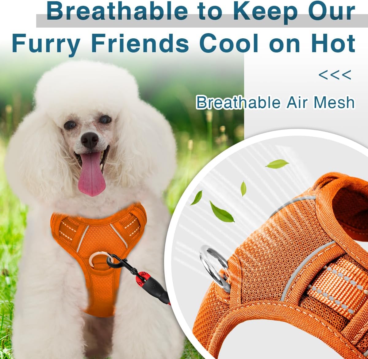 BARKBAY Dog Harness No Pull with ID Tag Pocket - Heavy Duty, Reflective, Easy Control for Large Dogs(Orange,XS)