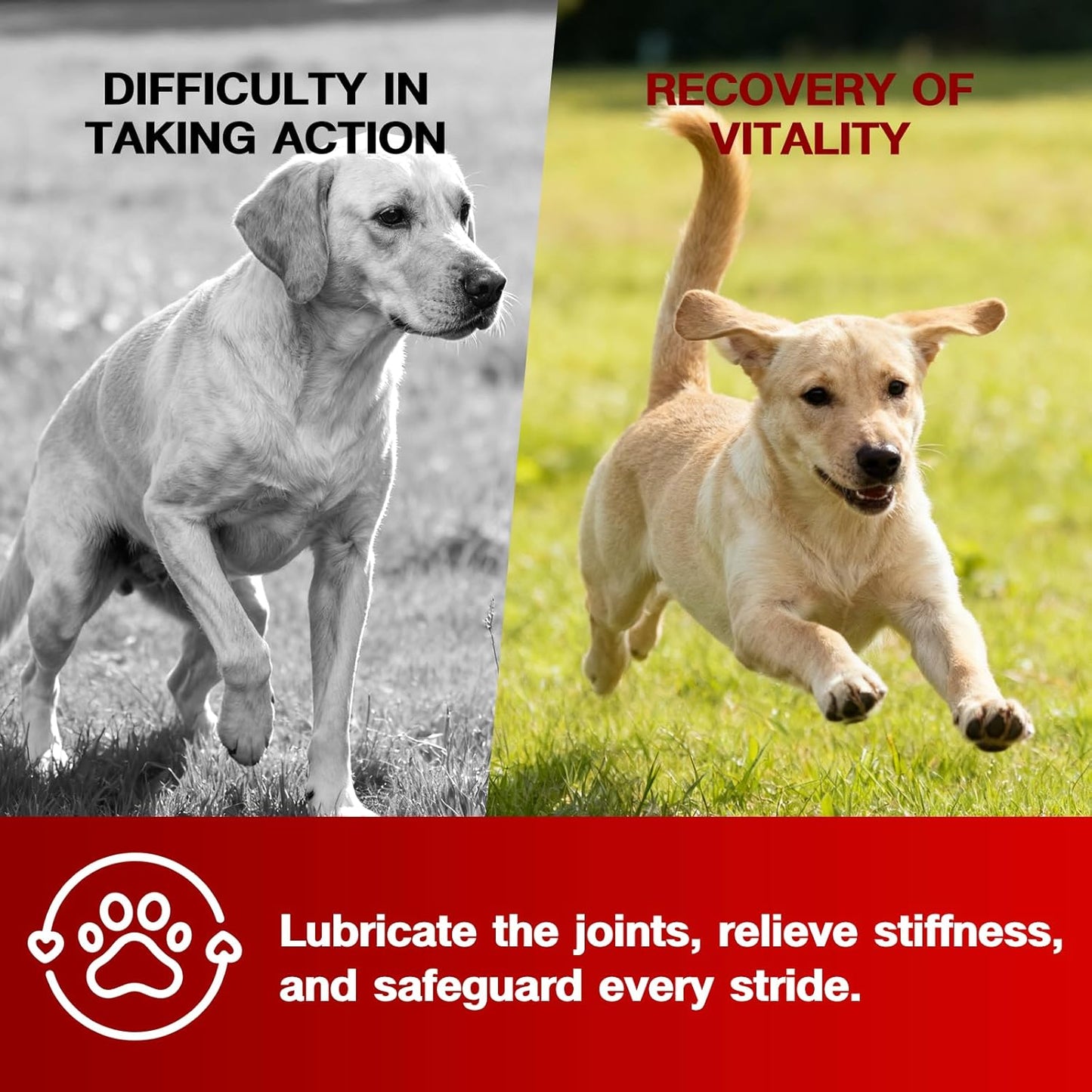 Hip and Joint Supplement for Dogs with Glucosamine, Chondroitin & MSM - Duck Flavor Joint Care Chews, 120 Count - Advanced Mobility Support - Senior Dog Approved (Duck)