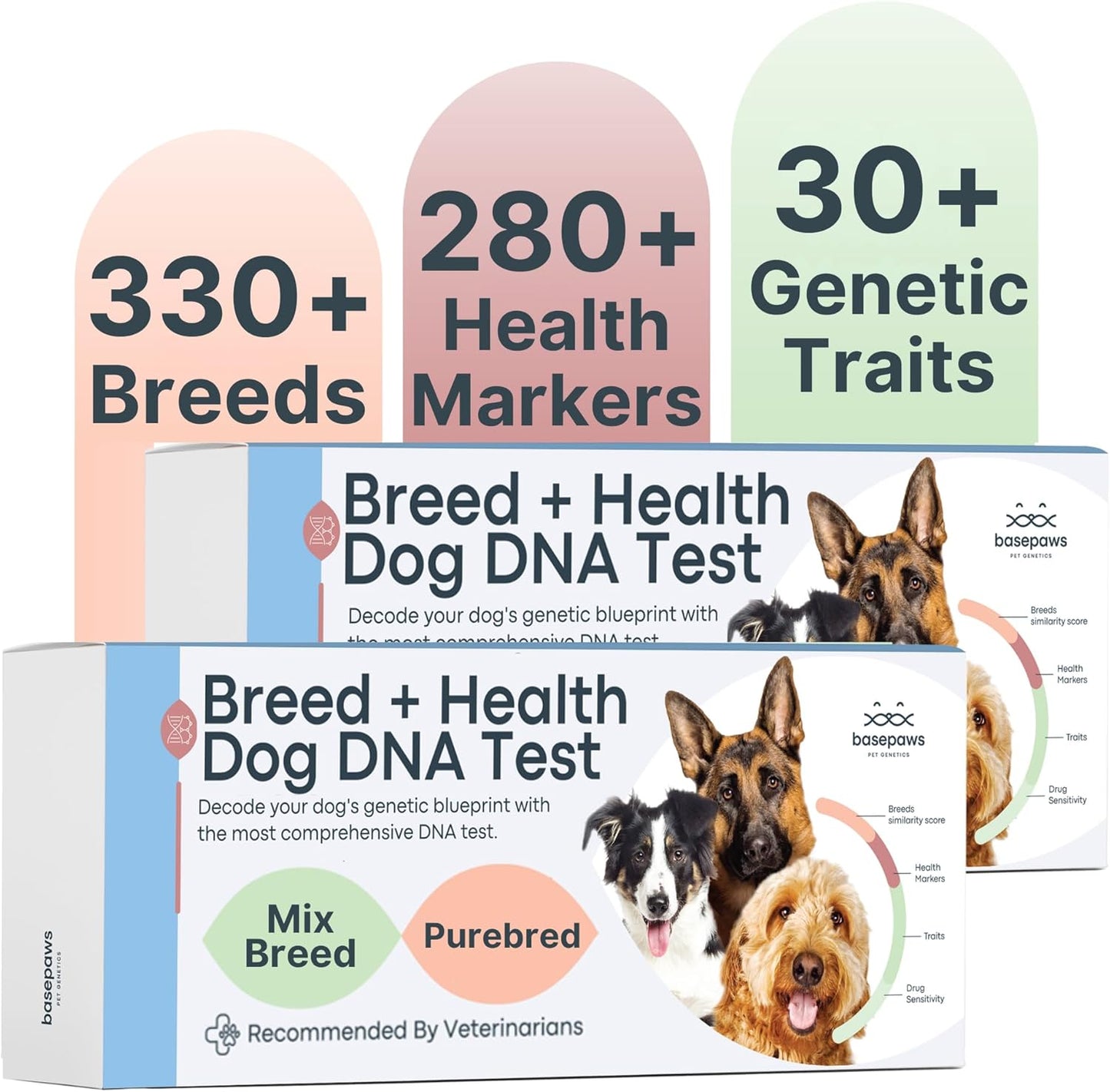 Basepaws Dog DNA Test Kit 2 Pack - 330+ Breeds, 280+ Health Risks, and 30+ Traits - Comprehensive Mixed Breed Identification, Pet DNA Test kit, Canine Genetic Ancestry and Heritage