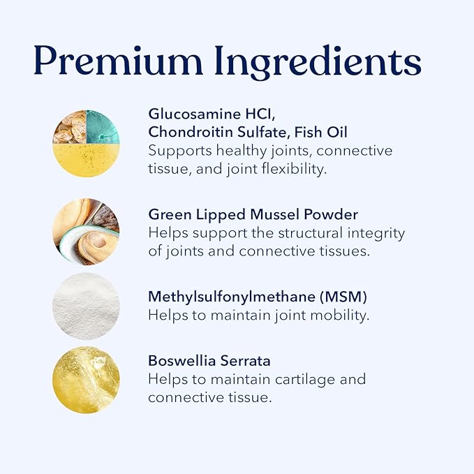 Honest Paws Joint Supplement for Dogs - Supports Mobility, Hip & Joint Health, Eases Stiffness - Glucosamine, Green Lipped Mussel, Fish Oil, Chondroitin Sulfate, MSM, Vitamin C