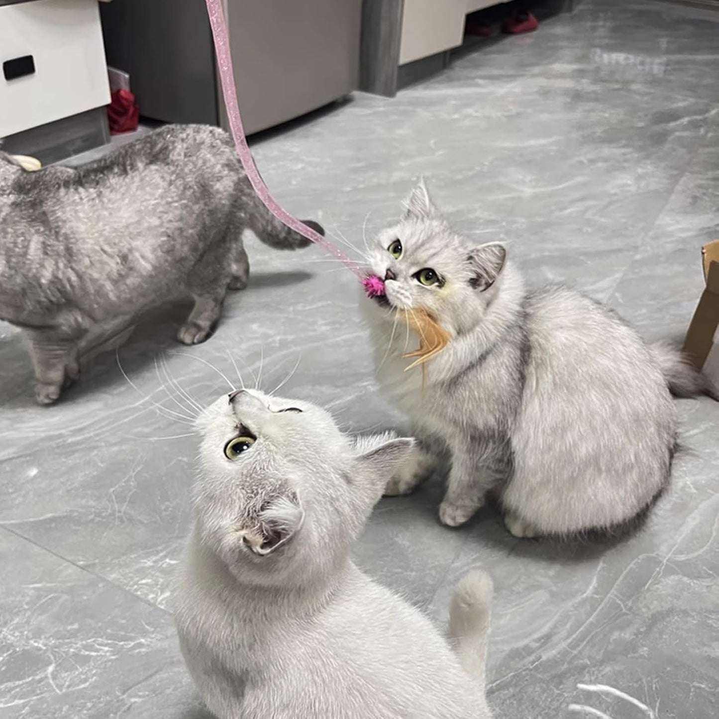 IUHKBH Cat Wands, 3 Colors Mesh Tube Teaser Toys Cute Kitten Wand Interactive Kitty Toy Safe Cat Stuff for All Breed Sizes