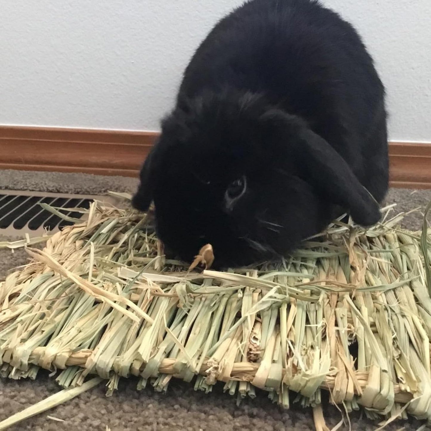 PINVNBY Natural Grass Mat for Rabbits,2 Pack Rabbit Hay Mats,100% Handwoven Hay Chewable Bedding & Cooling Mat for Bunny Guinea Pigs Hamsters Chinchillas - Eco-Friendly Cage Liner,Nesting Toy