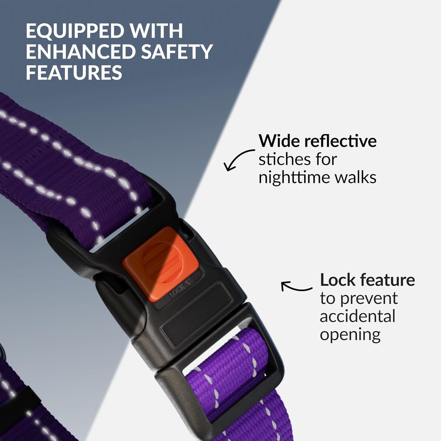 CollarDirect Martingale Dog Collar with Stainless Steel Chain and Quick Release Buckle - Reflective Collar for Large, Medium, Small Dogs - Purple, Small (Neck Size 12"-15")