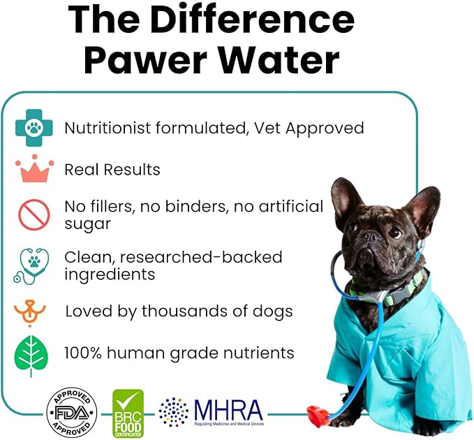 Advanced Joint & Hydration Supplement for Dogs – Vet-Approved - Soluble Powder with Collagen, Electrolytes, 7 Active Nutrients & Vitamins – Chicken Broth Flavor (Up to 8 Weeks Supply)