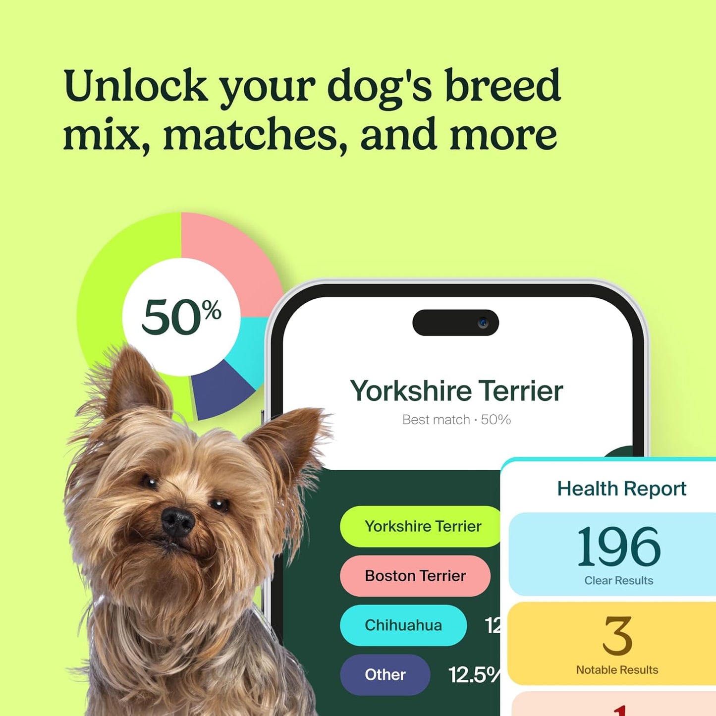 Ancestry Dog DNA Test: The Top-Selling DNA Consumer Brand, Breed Identification, Trait Insights, Health Report, Canine Genetics Analysis, Unique Pet Parent Gift, New Puppy Essentials