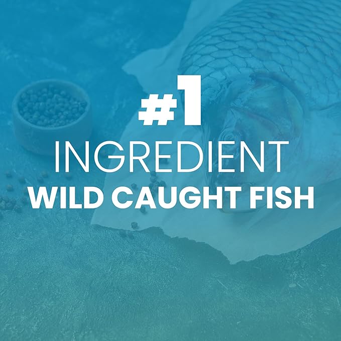 Wild Caught Marine Pet Collagen for Dogs, Peptide for Dogs - Improves Gut, Skin & Coat Health, Allergies, Pet Mobility Hip & Joint Supplement Health