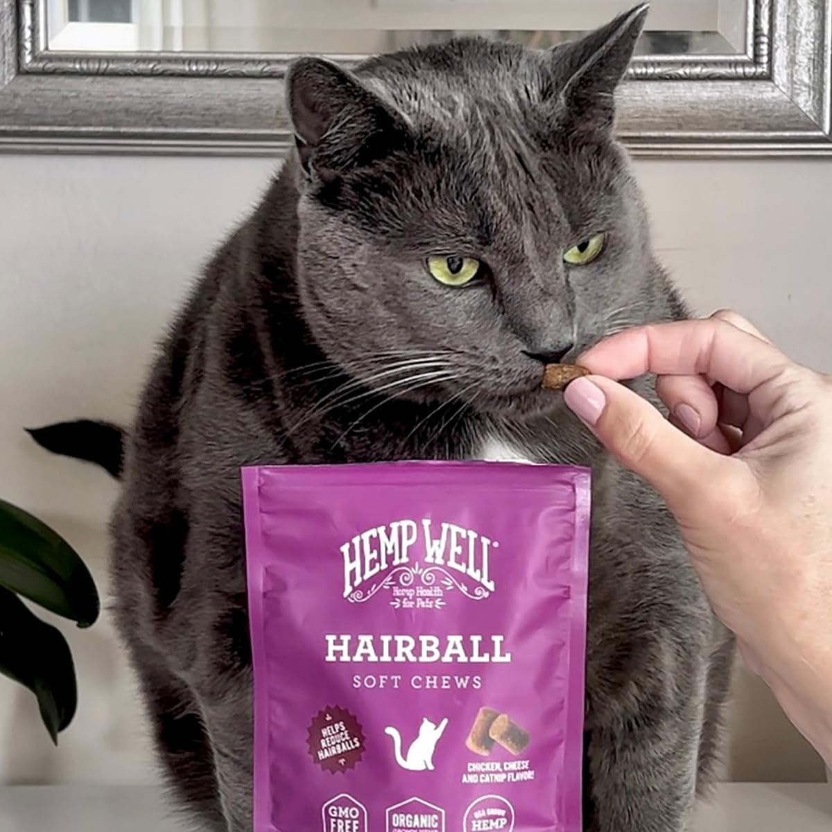 Hemp Well Cat Hairball Soft Chews for Cats, Organic USA Grown, Chicken Cheese & Catnip Flavor!