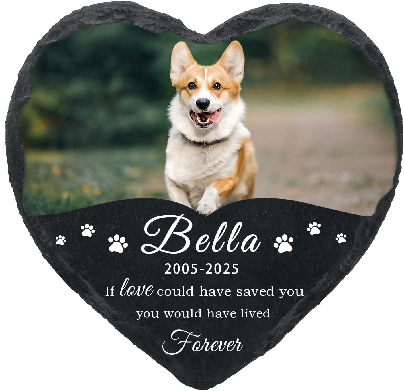 Dog Memorial Gifts for Loss of Dog Cat,Personalized Pet Memorial Stone with Photo Name,Custom Pet Remembrance Gifts,Cat Memorial Sympathy Gift,Dog Passing Away Gifts,Memorial Plaques for Dogs