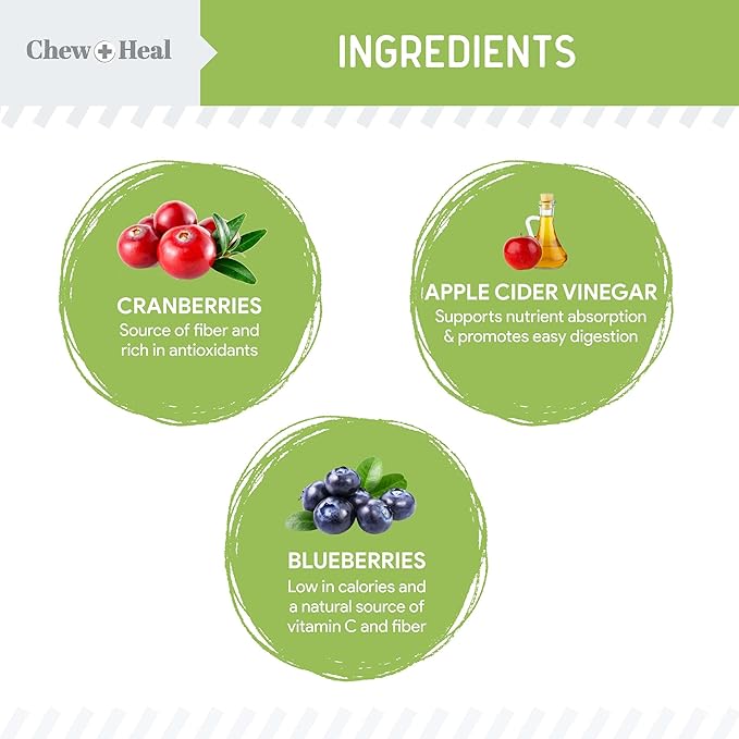 Chew + Heal Labs Low Calorie Dog Jerky Treats - 5 oz of Vegan Plant Based Natural Dog Treats with Chia Seeds, Fruits, and Vegetables - Good for Weight Management - Made in The USA