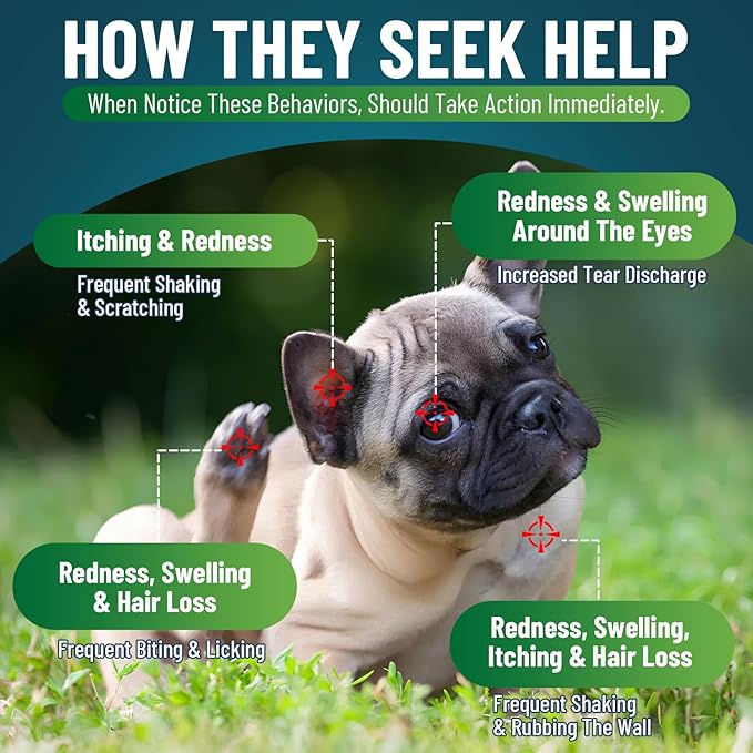 200 Natural Dog Allergy Relief Chews, Dog Itching Skin Relief & Immune Support Chews for Seasonal Allergies Dogs, Itch Relief for Dogs, Dog Allergy Paw & Skin Relief, Gut & Digestive Health