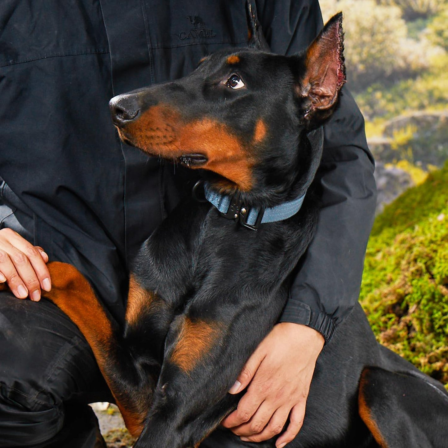 CLEPAWS Reflective Dog Collars for X-Large Dogs, Heavy Duty Tactical Dog Collar with Metal Buckle, Durable Pet Collar Quick Release, Reinforced Nylon No Pull Dog Collar (Nightfall, XL)