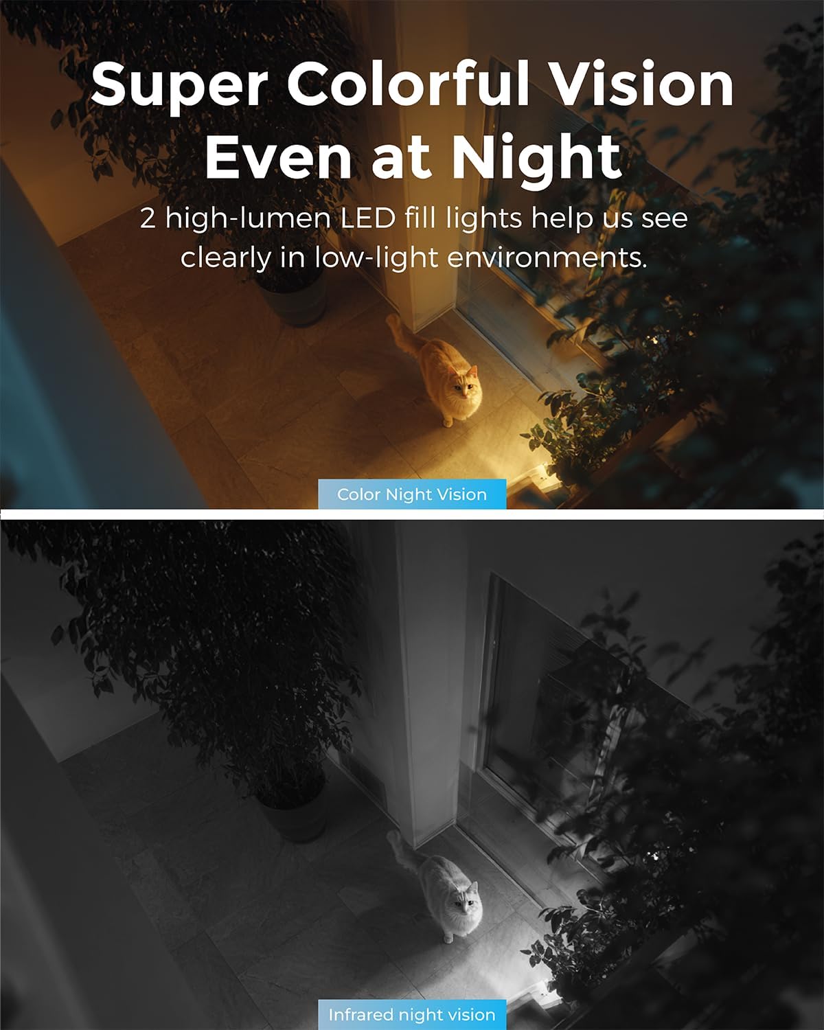 Devo Security Camera 2K | Indoor |Baby Monitor & Pet Camera | 2-Way Audio, Color Night Vision, Live Stream, Motion Alerts & Notifications White,1 Cam