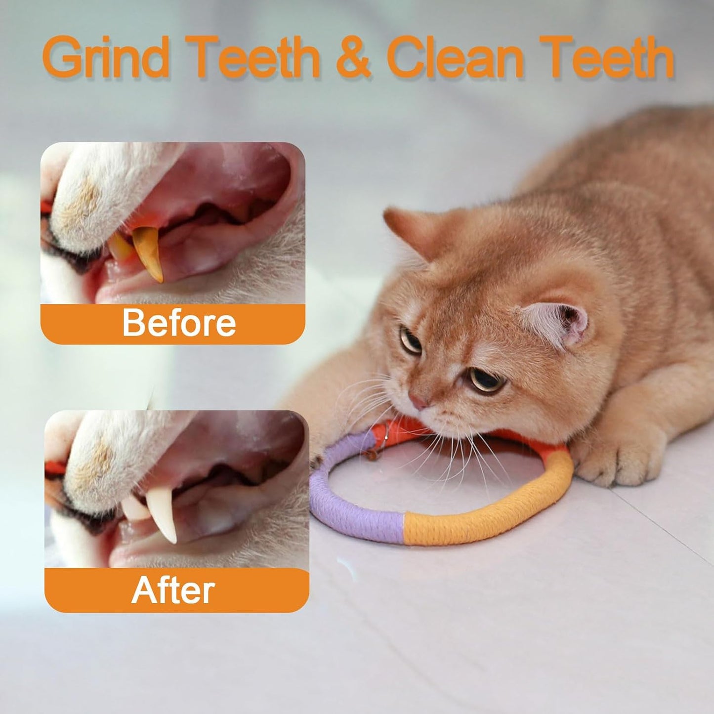 Cat Toys Chew Rope Loops with Refillable Natural Catnip, Safe Teeth Cleaning Toy with Feather for Indoor Kittens, Interactive Cat Enrichment Toy for Bored Indoor Adult Cats
