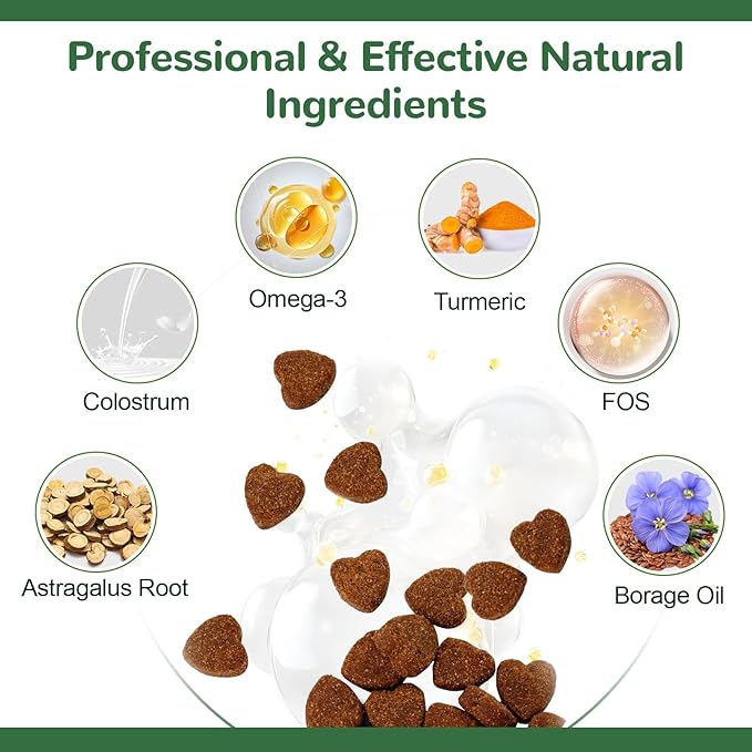 Dog Allergy Relief Chews, Dog Itch Relief Chews for Large Dogs Paw Licking Itchy Skin Seasonal Allergies, Probiotics with Omega-3 Turmeric Astragalus for Coat Immune Supplement-150ct