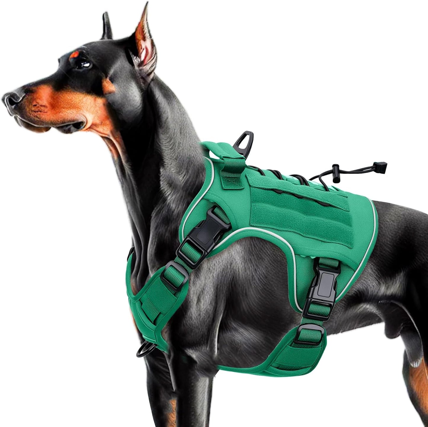 Heavy-Duty Tactical Dog Harness for Large Dogs, No Pull Adjustable Reflective Pet Vest with Molle System, K9 Military-Grade Control for Service Training, Outdoor & 10+ Breeds, Turquoise, Large