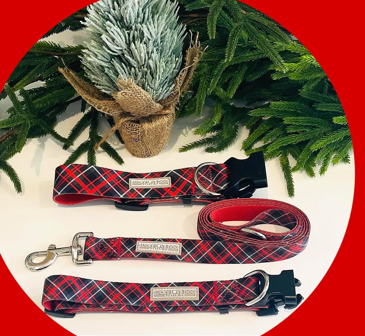 Lucky Love Dog - Adjustable Dog Collar with Easy Click Buckle for Small to Large Ones, Durable, & Comfortable for Male & Female Dogs, Pet Collar for Puppies & Adult Dogs - Heywood, XS