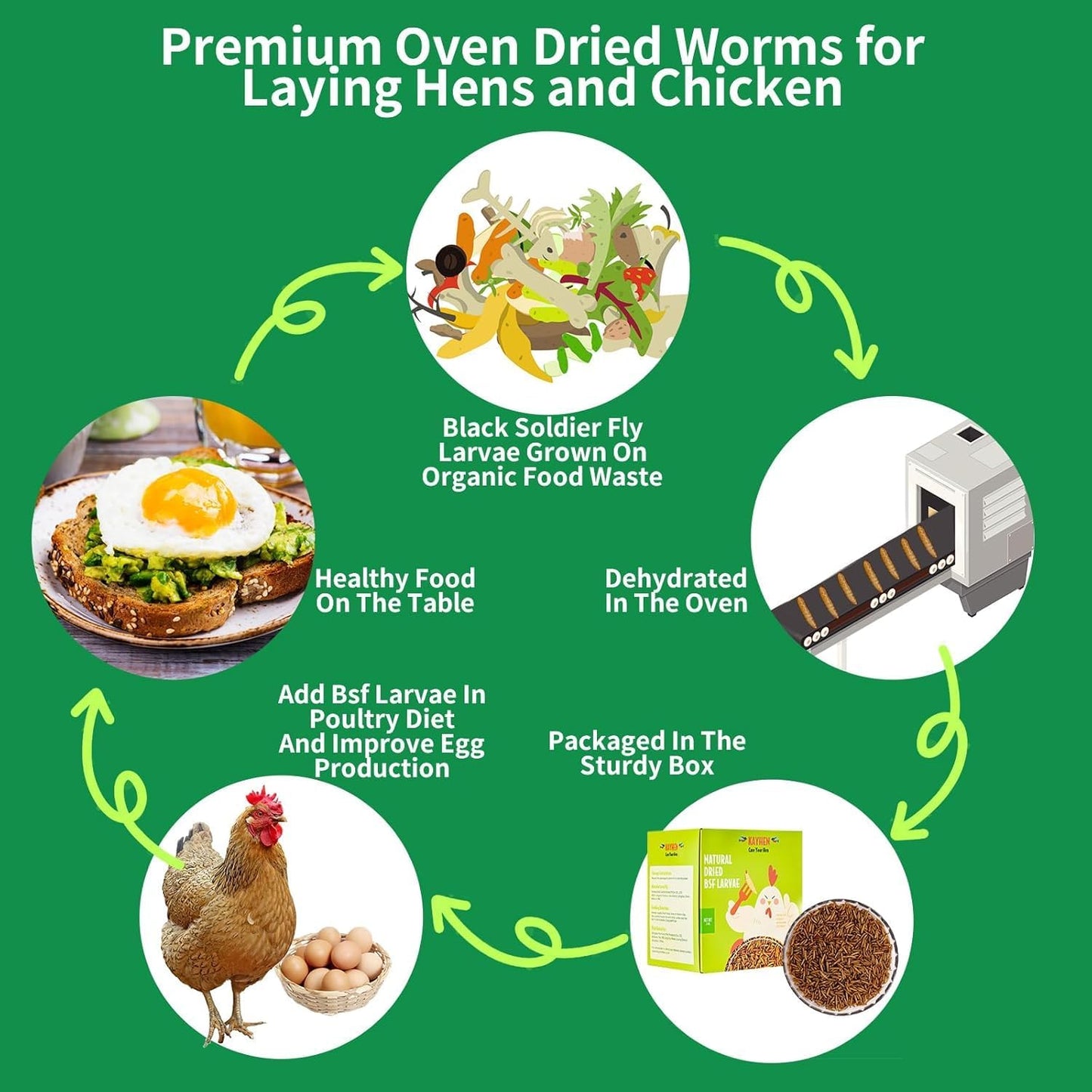 KAYHEN Dried Black Soldier Fly Larvae 10LB Non-GMO BSF Larvae for Chickens More Calcium Than Mealworms High-Protein Chickens Treats for Layer Hens Wild Birds Ducks