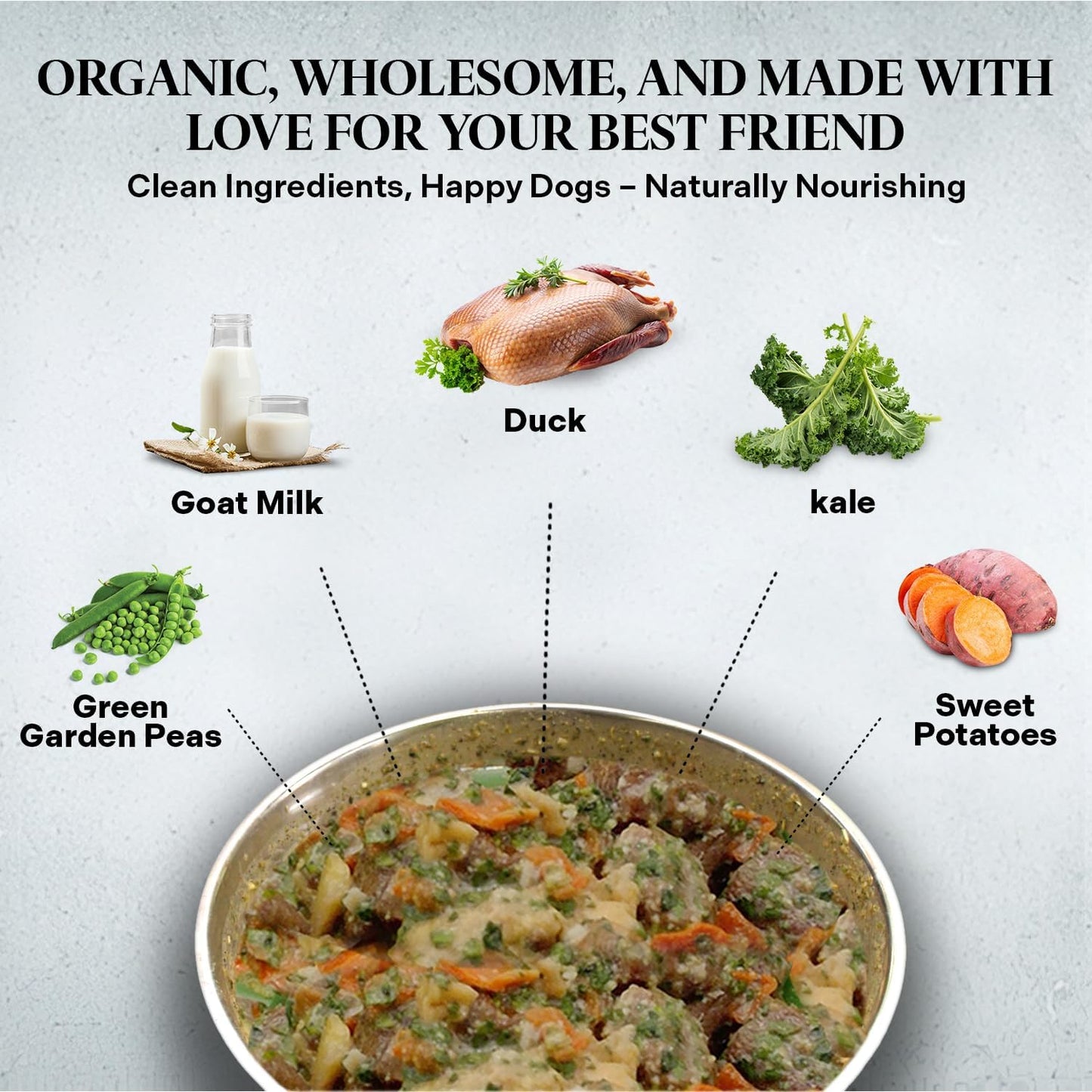 Healthy Dogma - PetMix Dehydrated Dog Food -, Raw, Easy-to-Digest Homemade Dog Food with Freeze-Dried Duck, Goat’s Milk & Superfoods (Duck Dinner, 6 lbs)